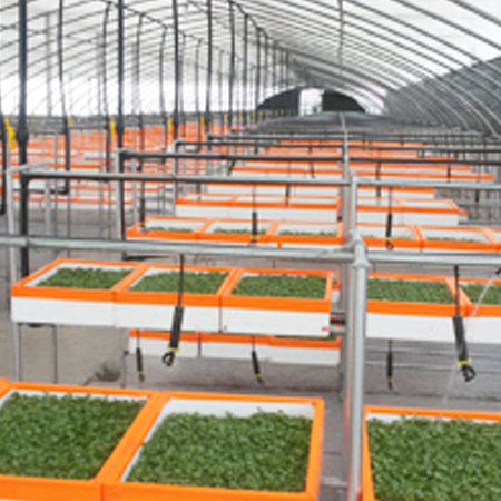 濟(jì)寧金冠宇裝飾有限公司